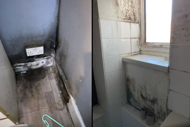 Examples of mould in Emily McDermott's flat before remediation